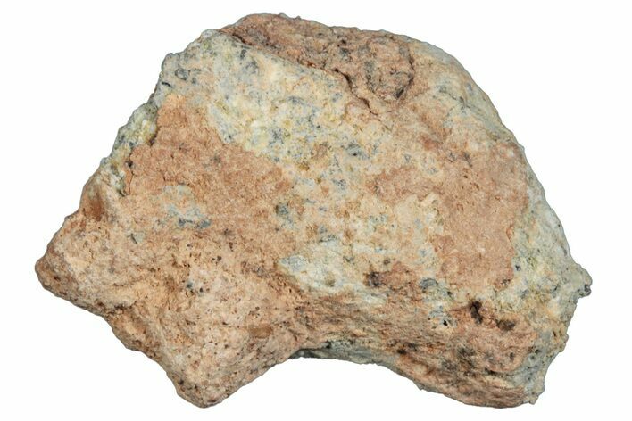 Lunar Meteorite ( g) - Bechar #288502